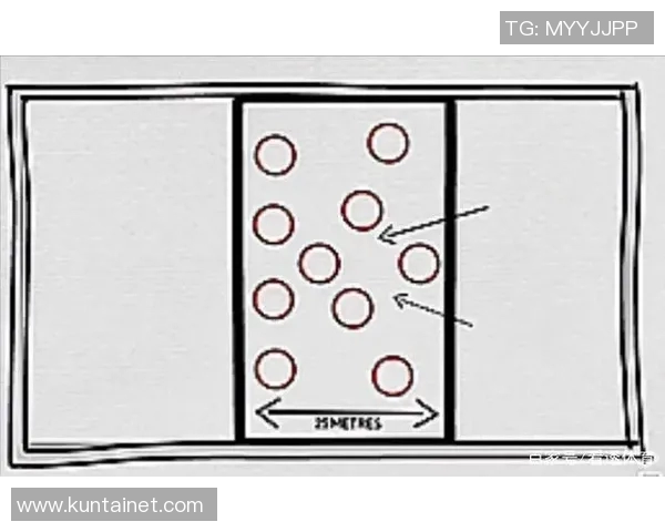 深入分析深圳排球队区域防守战术的特点与应用策略